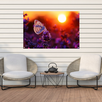 Vlinder rust op lavendel in oranje zonsondergang tuinposter