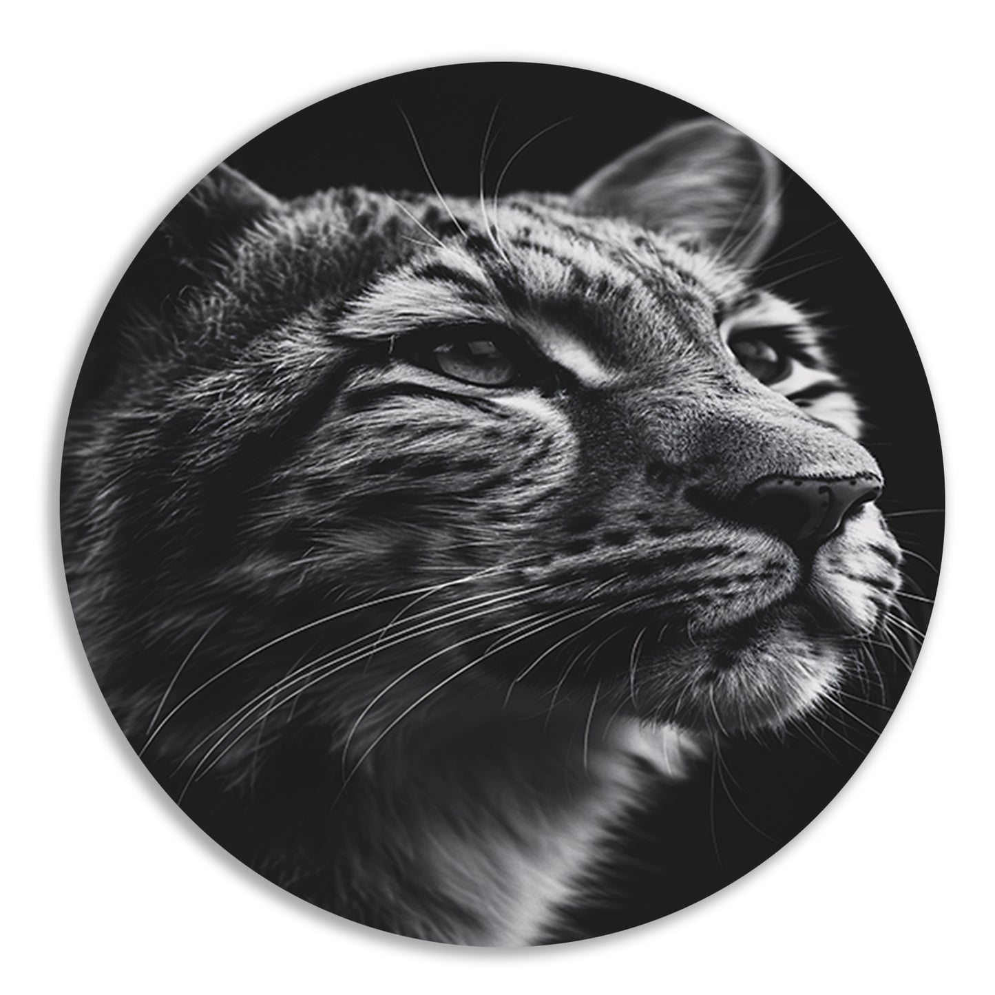 Indrukwekkend zwart-wit close-up portret van een luipaard aluminium muurcirkel