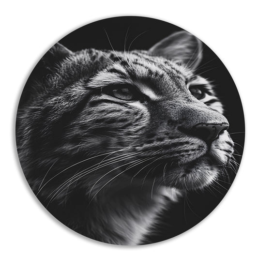 Indrukwekkend zwart-wit close-up portret van een luipaard aluminium muurcirkel
