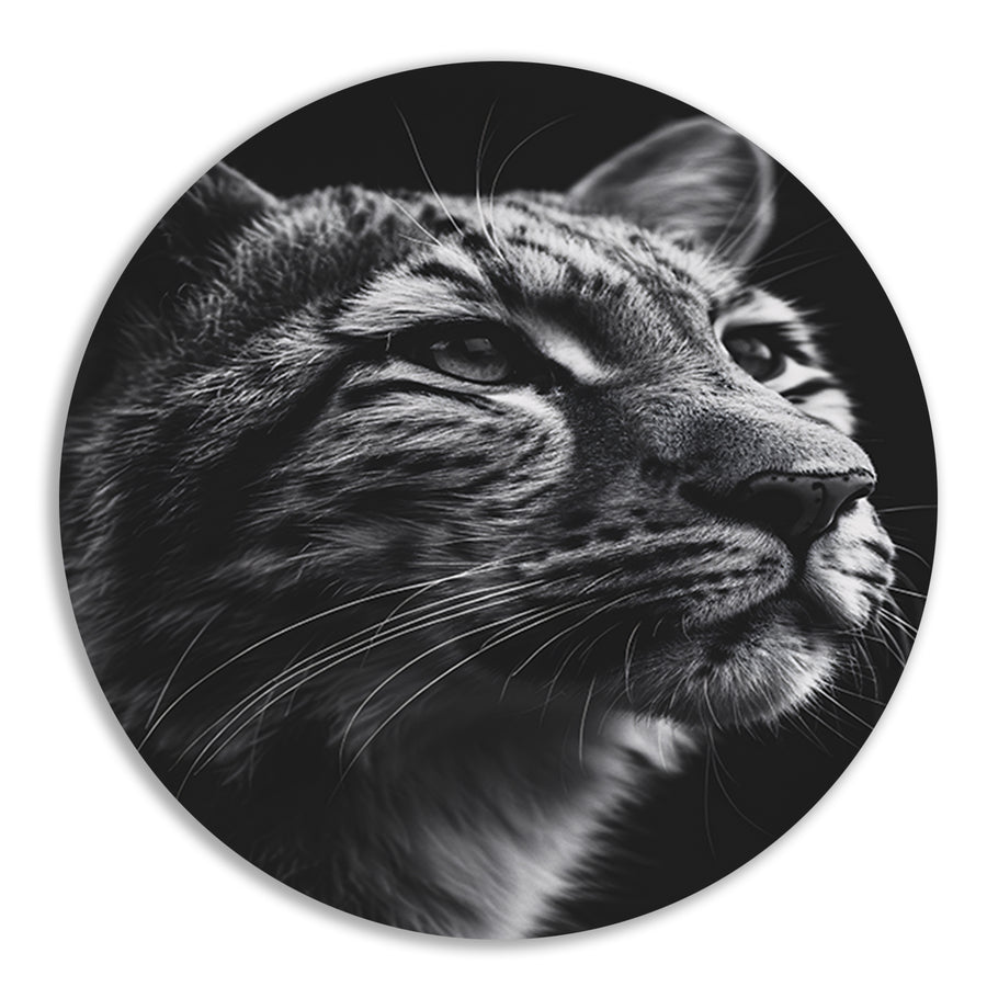 Indrukwekkend zwart-wit close-up portret van een luipaard aluminium muurcirkel