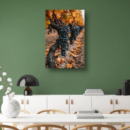 Rijpe Druiven in Herfst Wijngaard canvas