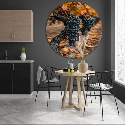 Rijpe Druiven in Herfst Wijngaard aluminium muurcirkel