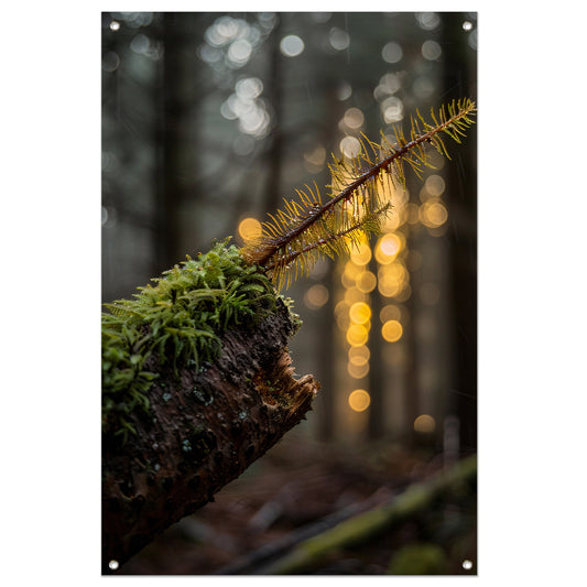 Plant groeit uit mos op hout tuinposter