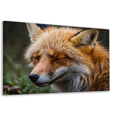 Slapende vos in de natuur vastgelegd canvas