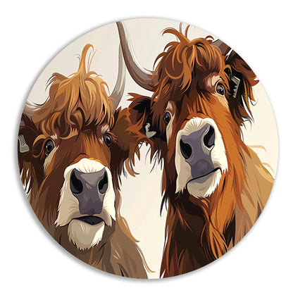 Twee Schotse Hooglanders van dichtbij aluminium muurcirkel