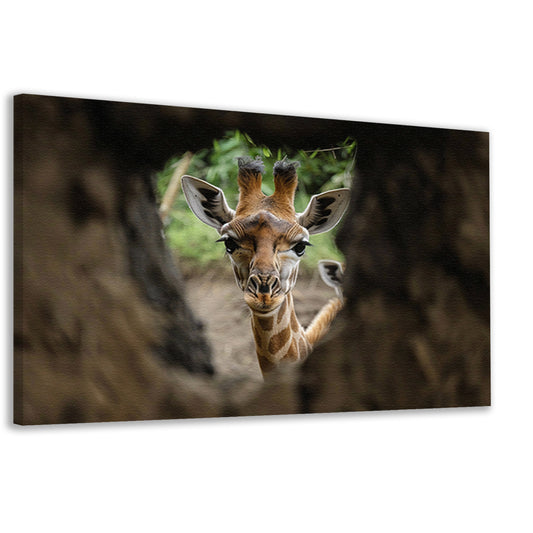 Jonge giraf gluurt door boom canvas