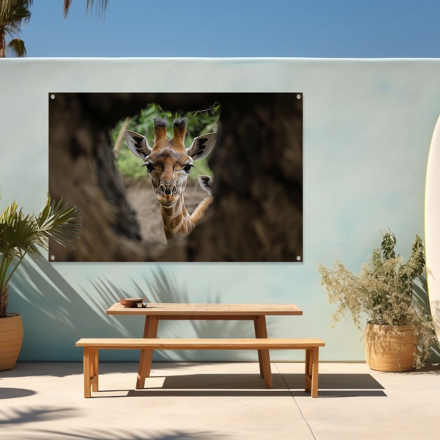 Jonge giraf gluurt door boom tuinposter
