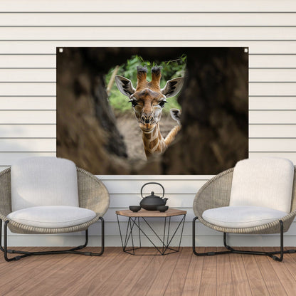 Jonge giraf gluurt door boom tuinposter