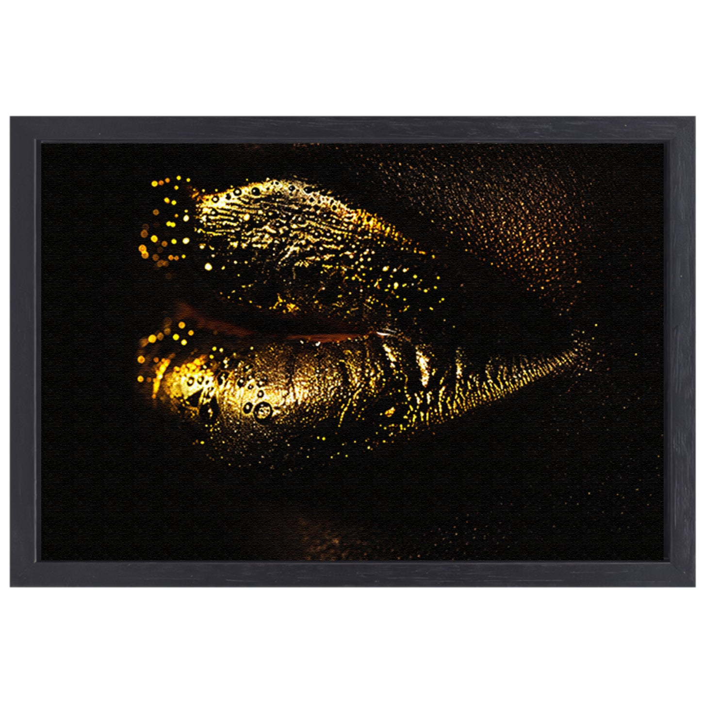 Gouden lippen glinsterend in het donker canvas met baklijst