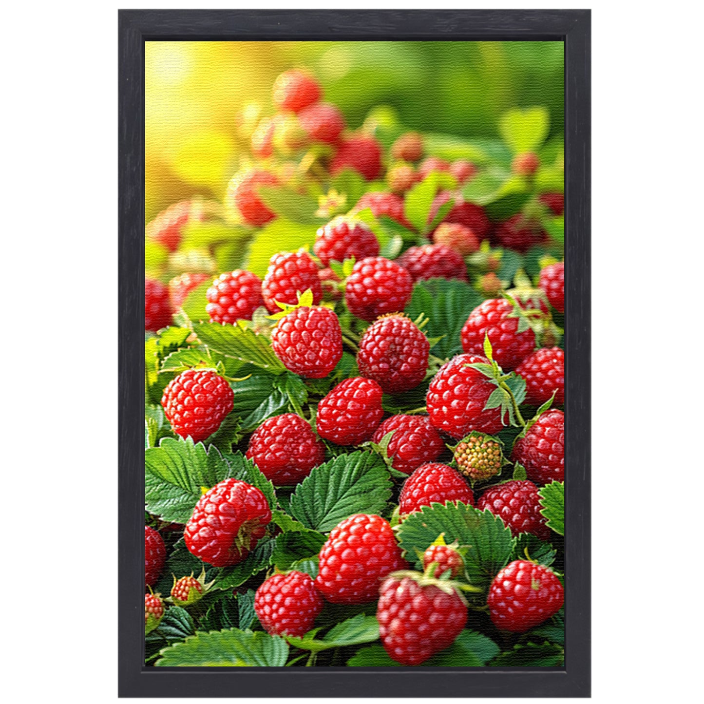 Close-up van Rijpe Frambozen in Zonlicht canvas met baklijst