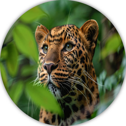 Luipaard Tussen Groen in Jungle forex muurcirkel