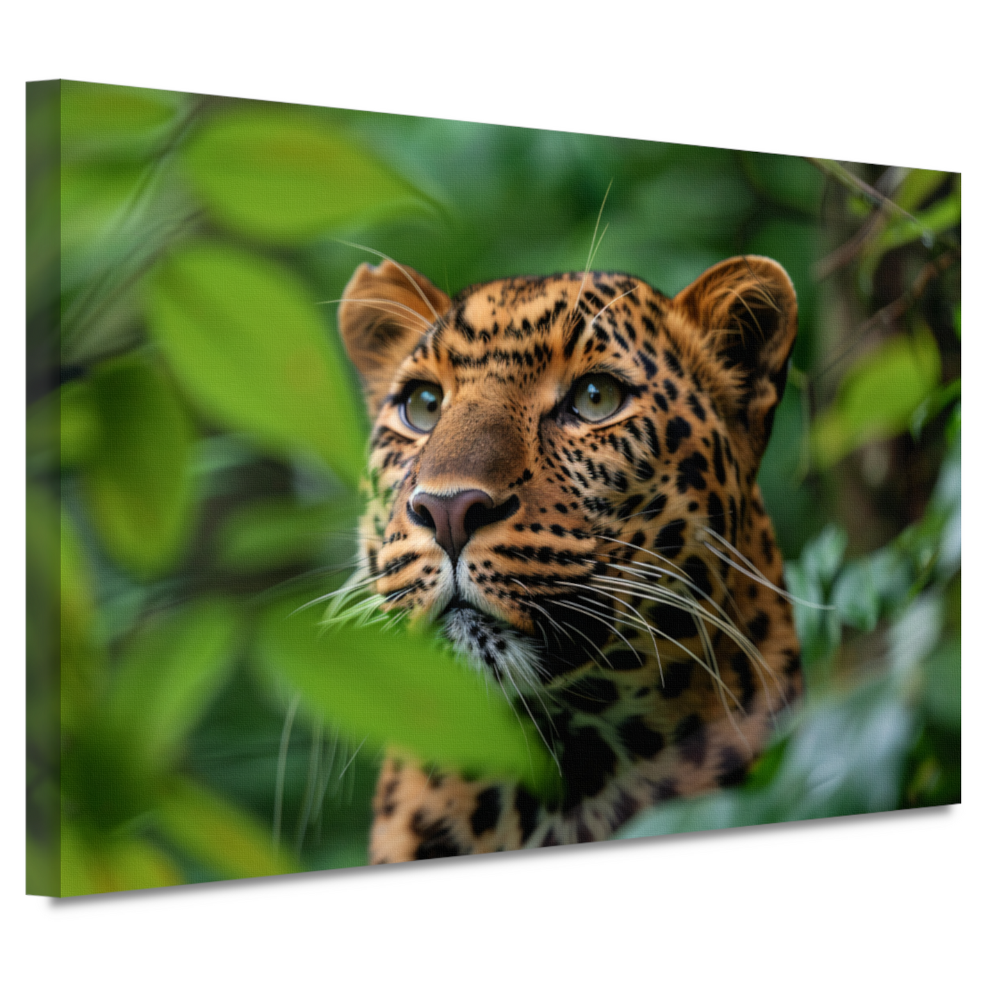 Luipaard Tussen Groen in Jungle canvas