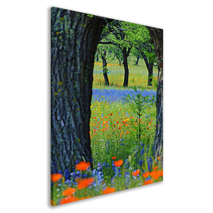 Kleurrijk Bloemenveld met Bomen canvas