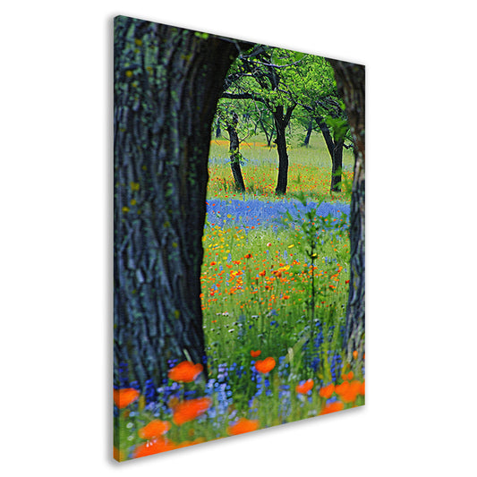 Kleurrijk Bloemenveld met Bomen canvas