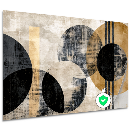 Monochrome Cirkels en Gouden Lijnen poster