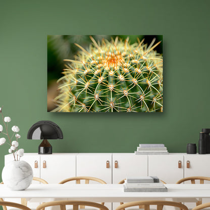 Gedetailleerde close-up van een cactusplant   acrylglas