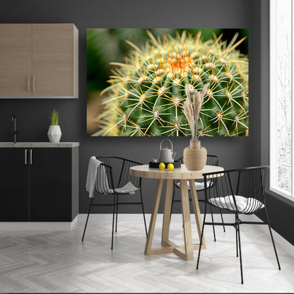 Gedetailleerde close-up van een cactusplant   acrylglas
