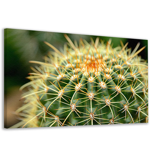 Gedetailleerde close-up van een cactusplant   canvas