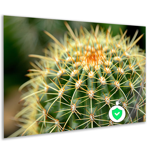 Gedetailleerde close-up van een cactusplant   poster
