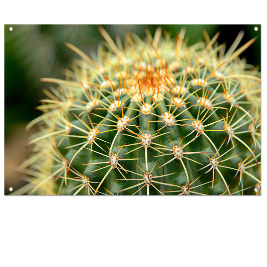 Gedetailleerde close-up van een cactusplant   tuinposter