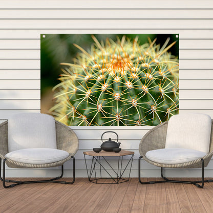 Gedetailleerde close-up van een cactusplant   tuinposter