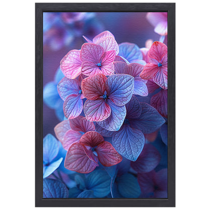 Close-up van roze en blauwe hortensia bloemen canvas met baklijst