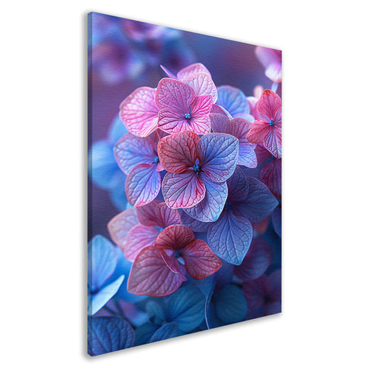 Close-up van roze en blauwe hortensia bloemen canvas