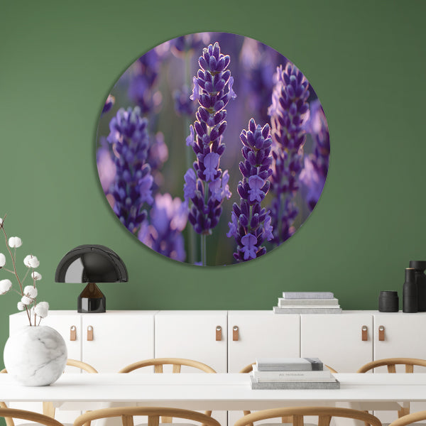 Betoverende lavendelbloemen badend in zacht avondlicht forex muurcirkel