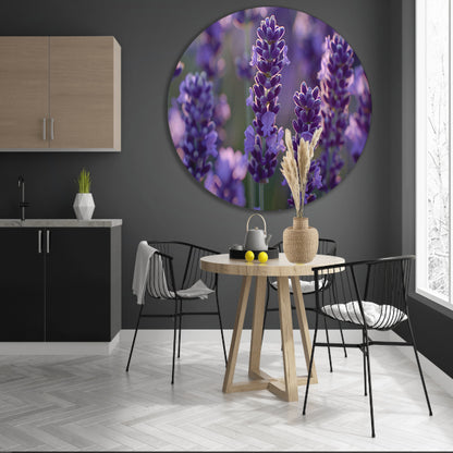 Betoverende lavendelbloemen badend in zacht avondlicht aluminium muurcirkel