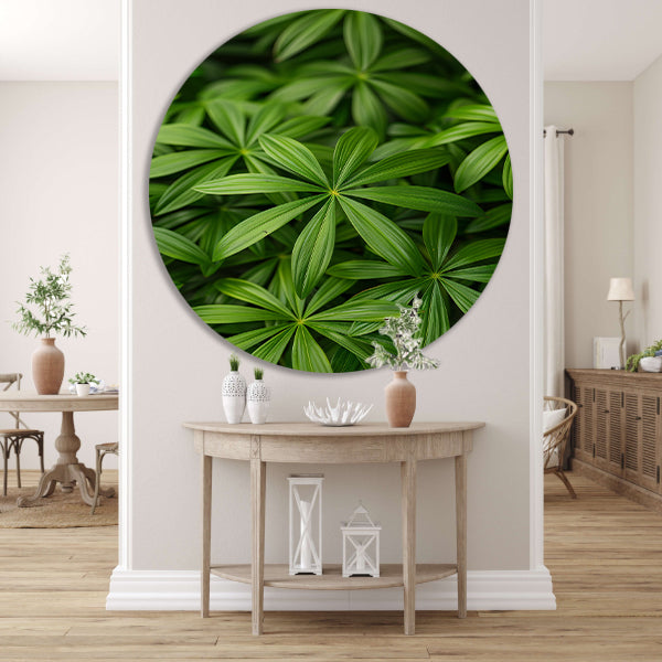 Close-up van Groene Bladeren met Schaduwspel forex muurcirkel