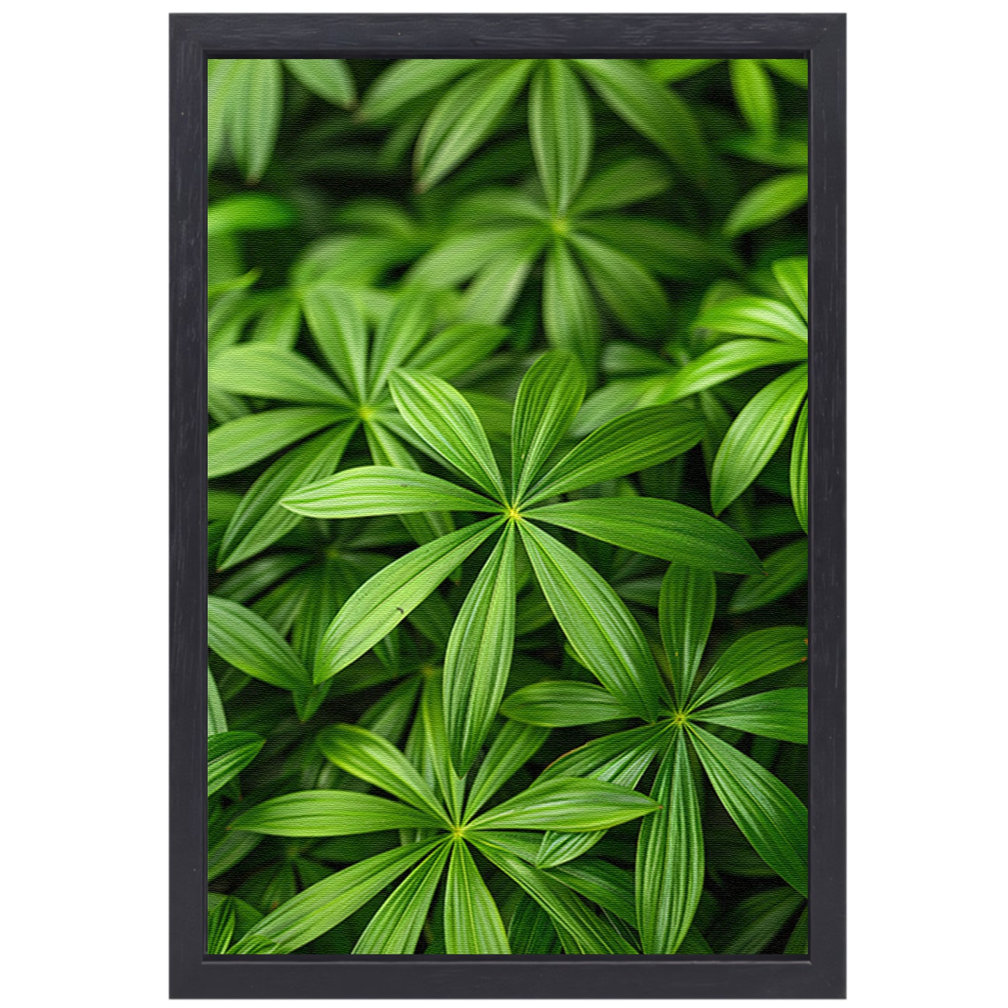 Close-up van Groene Bladeren met Schaduwspel canvas met baklijst