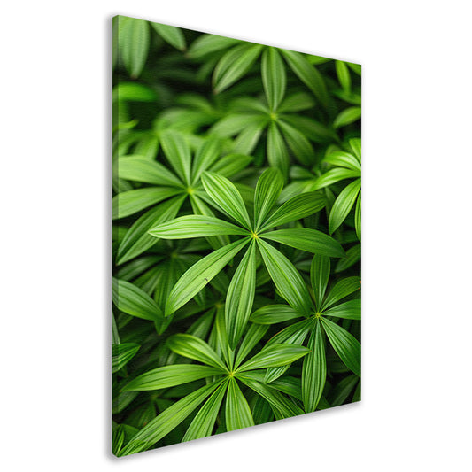 Close-up van Groene Bladeren met Schaduwspel canvas