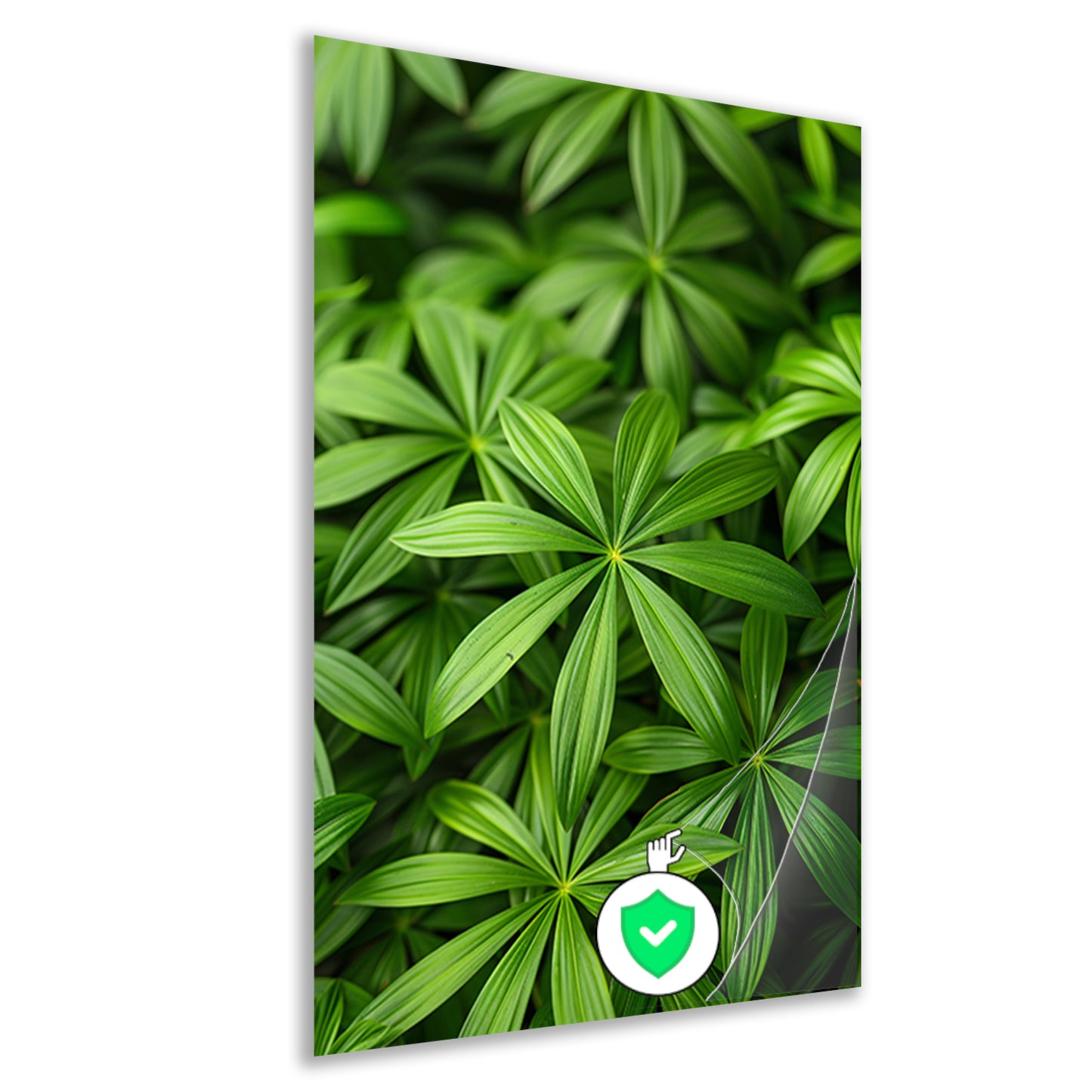 Close-up van Groene Bladeren met Schaduwspel poster