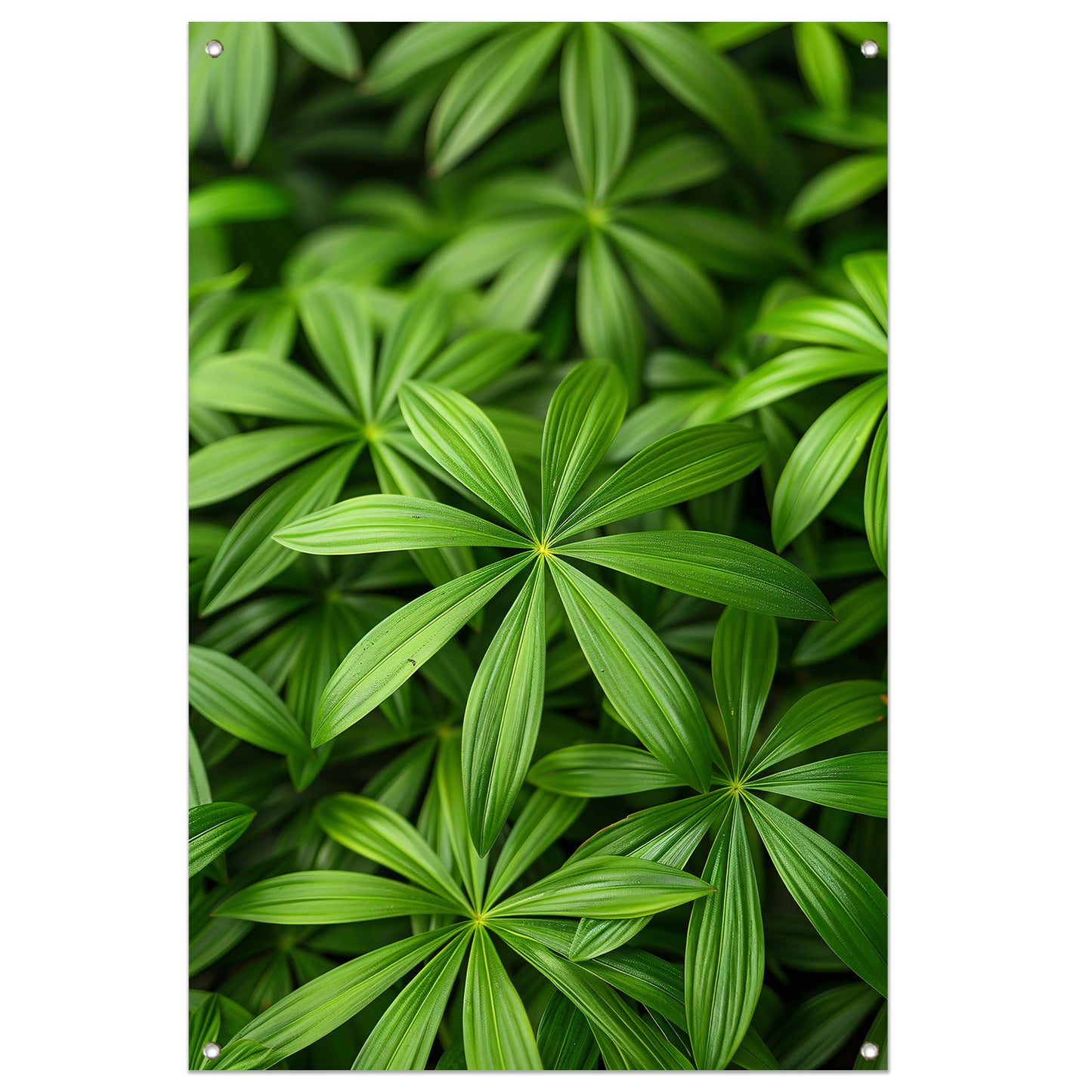 Close-up van Groene Bladeren met Schaduwspel tuinposter