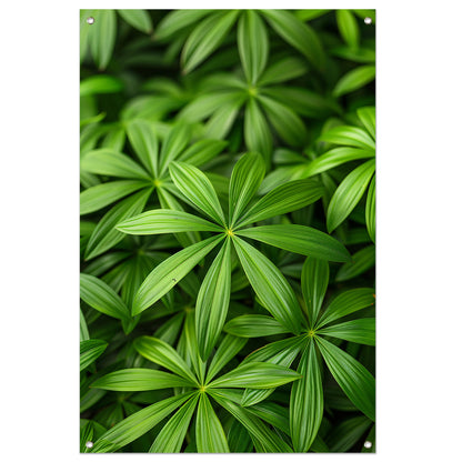 Close-up van Groene Bladeren met Schaduwspel tuinposter