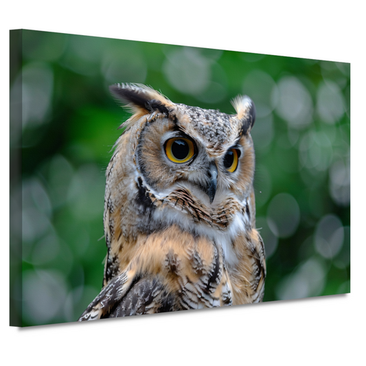 De Majestueuze Blik van een Uil canvas