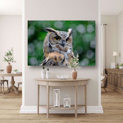 De Majestueuze Blik van een Uil canvas