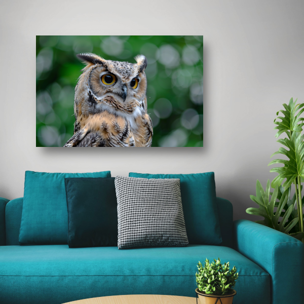 De Majestueuze Blik van een Uil canvas