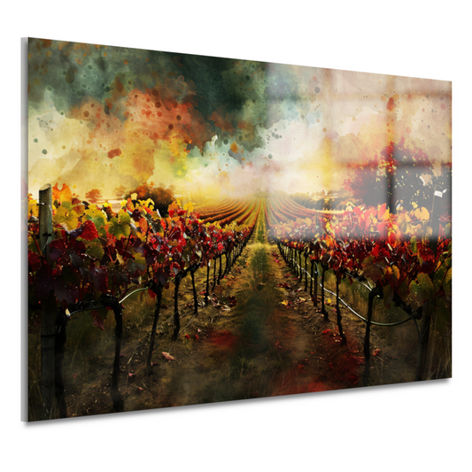 Herfstzonsondergang in levendige wijngaard acrylglas