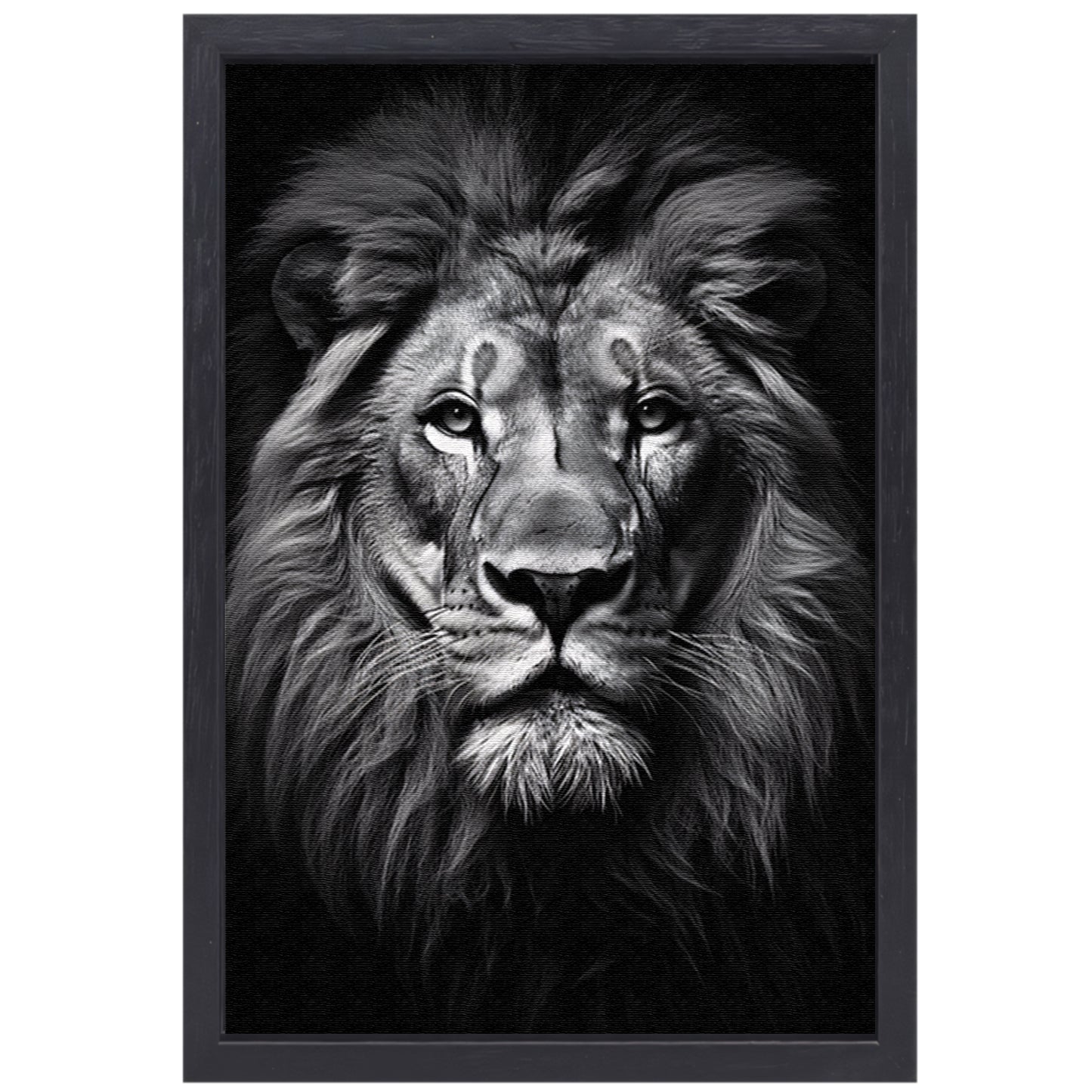 Portret van een statige leeuw canvas met baklijst