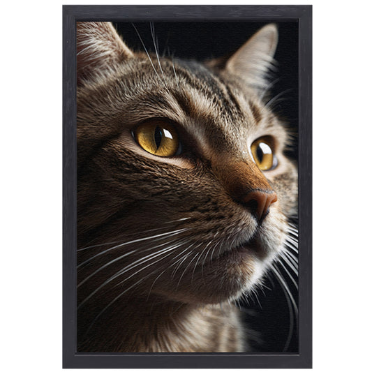 Diepgaande blik van een bruine kat canvas met baklijst