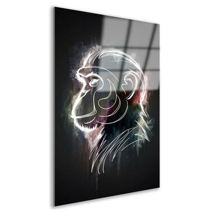 Abstracte aap lijnenspel in kleur acrylglas