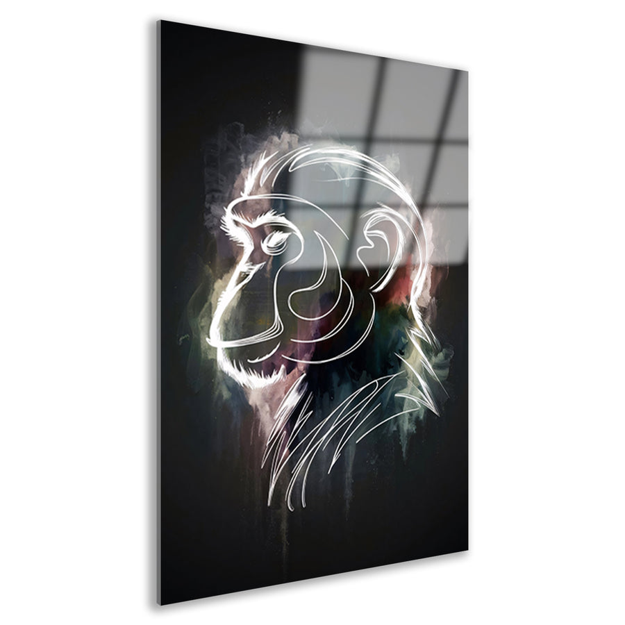 Abstracte aap lijnenspel in kleur acrylglas