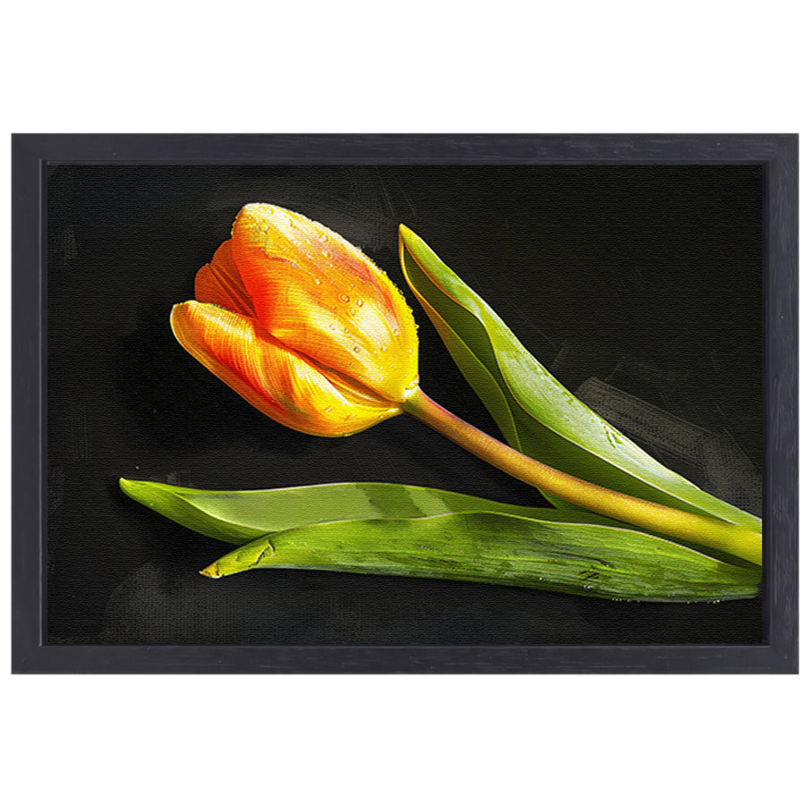 Gele tulp met waterdruppels op zwart canvas met baklijst