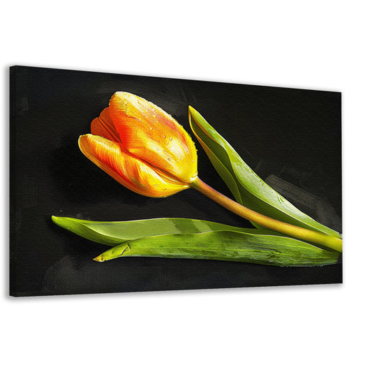 Gele tulp met waterdruppels op zwart canvas