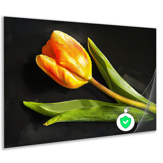 Gele tulp met waterdruppels op zwart poster