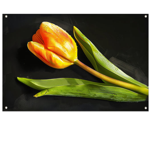 Gele tulp met waterdruppels op zwart tuinposter