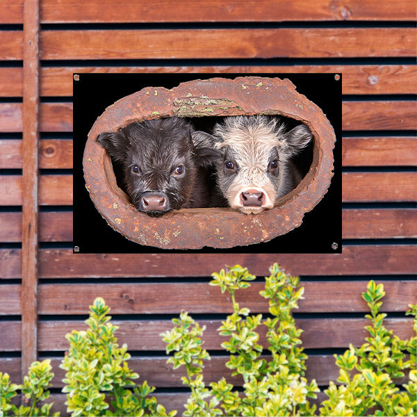 Twee kalfjes in een roestig raam tuinposter