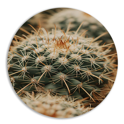 Close-up van een groene cactus aluminium muurcirkel