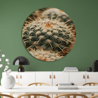 Close-up van een groene cactus aluminium muurcirkel